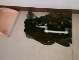 河间卫生间测漏水多少钱